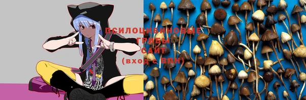 кокаин перу Белокуриха